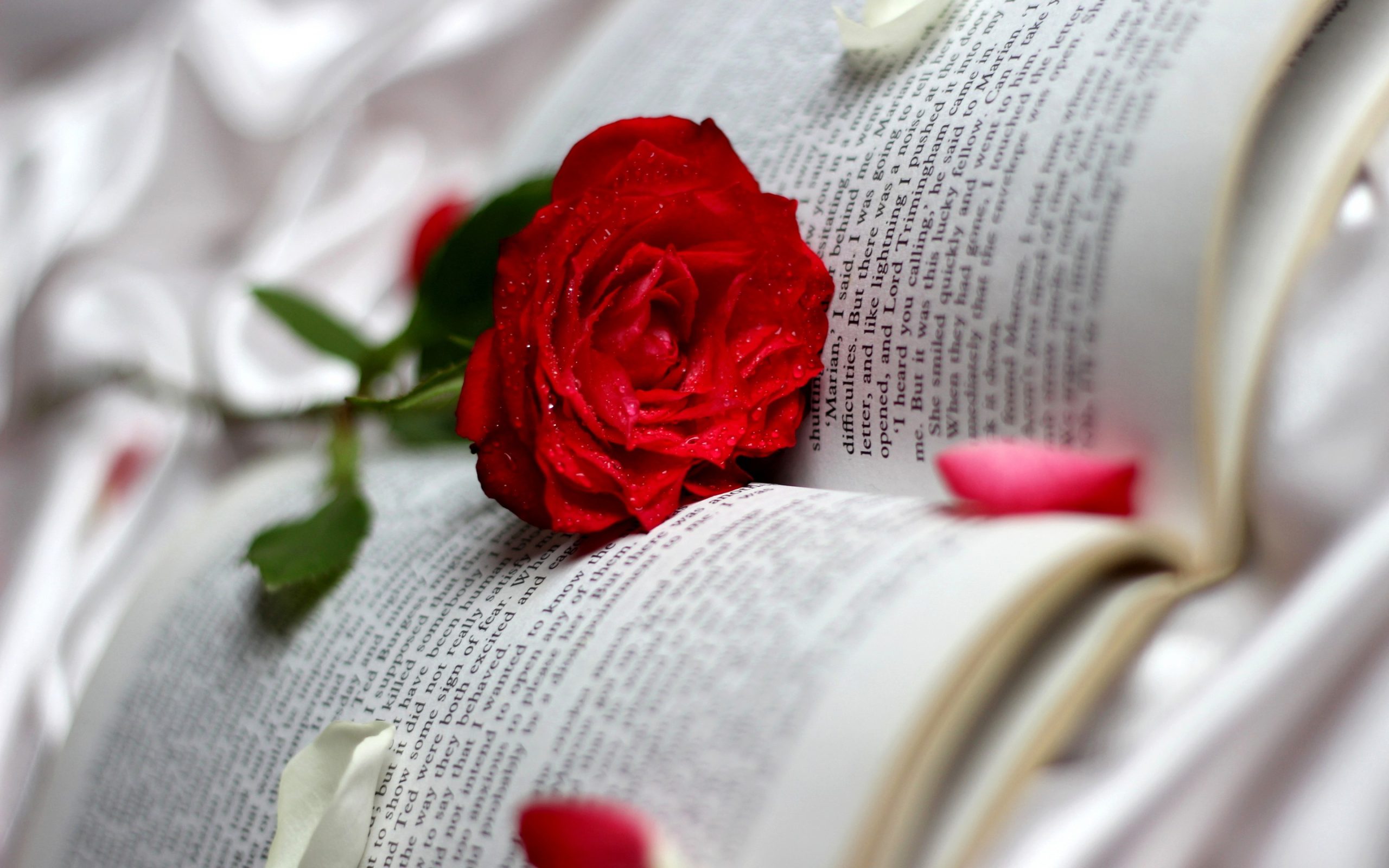 Мағжан любит тебя, Шодиёна!